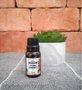 Essência Gourmet Especiarias Para Difusores/Aromatizadores Elétricos 10ml Omnes